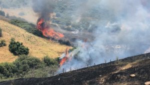 Kiraz'da makilik alanda yangın