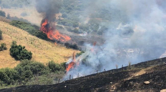 Kiraz'da makilik alanda yangın