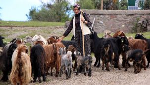 'Köylü kızı'nın takipçi sayısı 100 bine yaklaştı