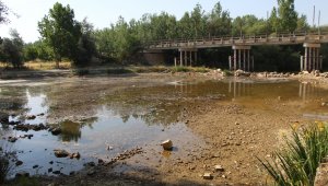 Kuraklık 8 asırlık şenliği de vurdu