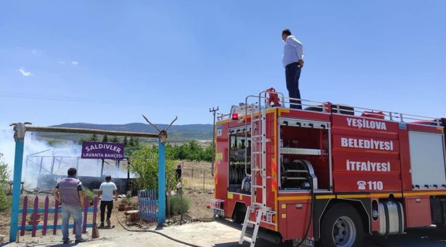 Lavanta bahçesinde yangın