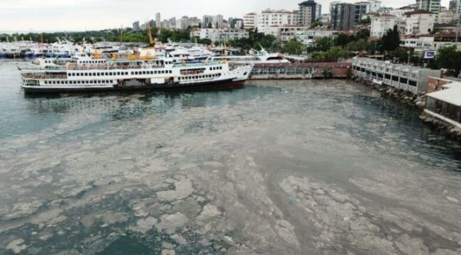 Marmara'da oksijen bitmek üzere