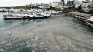 Marmara'da oksijen bitmek üzere