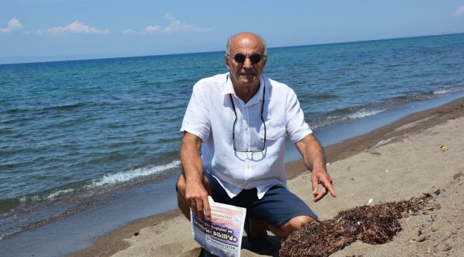 Marmara'da deniz salyası, İzmir'de Sargassum tehdidi