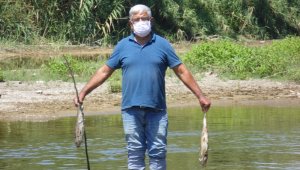 Menderes'teki balık ölümleri endişelendirdi