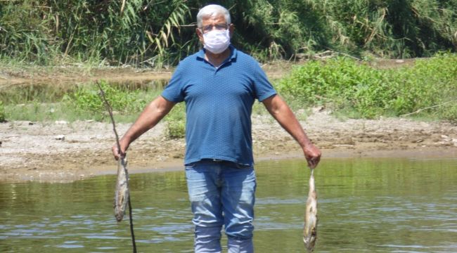 Menderes'teki balık ölümleri endişelendirdi