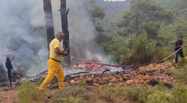 Muğla'da 12 günde 48 yıldırım yangını