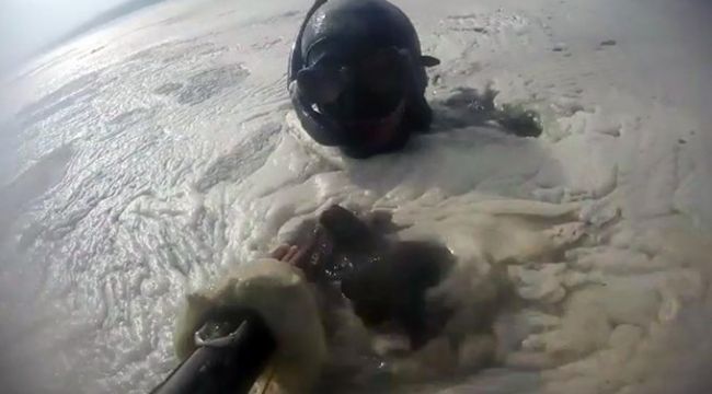 Müsilajın deniz altındaki tahribatı görüntülendi 