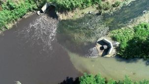 Nilüfer Çayı siyaha büründü