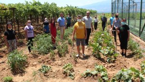 Okul bahçesinde sebze yetiştirip okula gelir sağlayacaklar