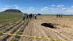 Pancar tarlasında korkutan obruk