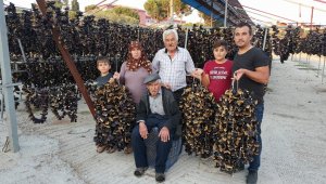 Patlıcan Vadisi öksüz kaldı