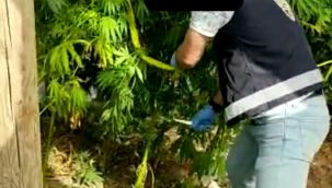 Serada uyuşturucuya suçüstü