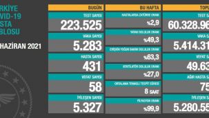 Ülkemizde son durum: 58 ölüm
