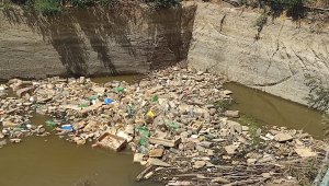 Sulama kanalına atılan çöpler utandırdı