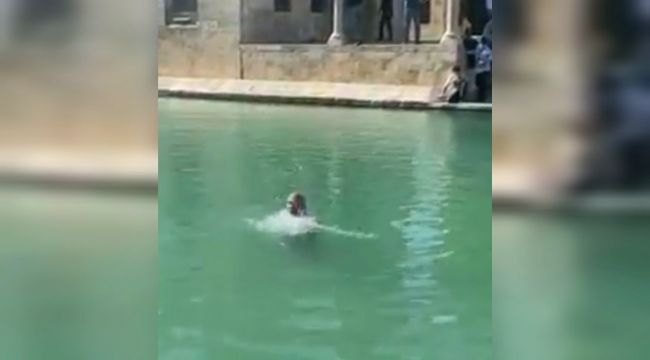 Ünlü Balıklıgöl'e girip yüzdü