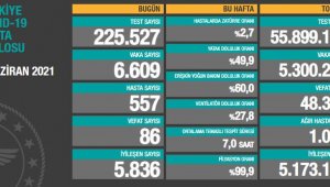 Vaka ve ölüm sayısında düşüş azalsa da sürüyor