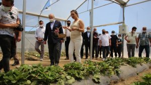 Vali Köşger, Efes Tarlası Yaşam Köyünde