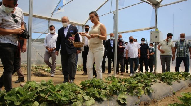 Vali Köşger, Efes Tarlası Yaşam Köyünde