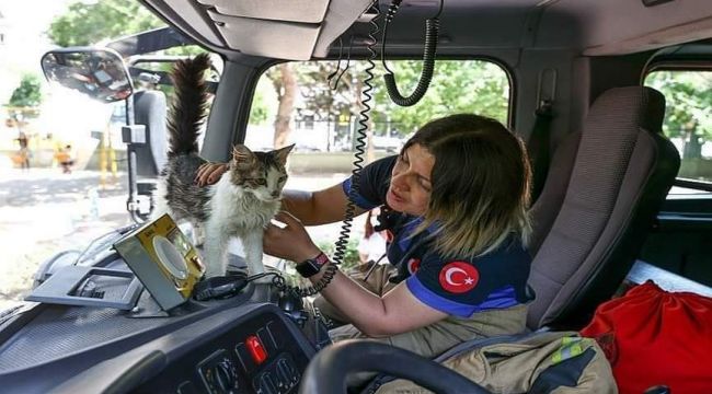 Yangında kurtarılan Minnoş'u itfaiye sahiplendi