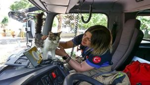 Yangında kurtarılan Minnoş'u itfaiye sahiplendi