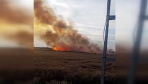 Yüksek gerilim hattı buğday tarlasını yaktı