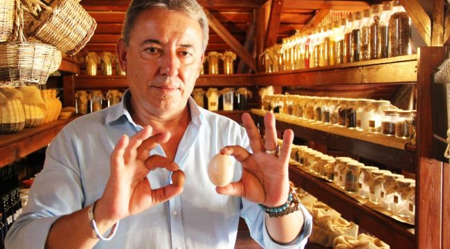 Yumurtlayan horoz şaşkına çevirdi