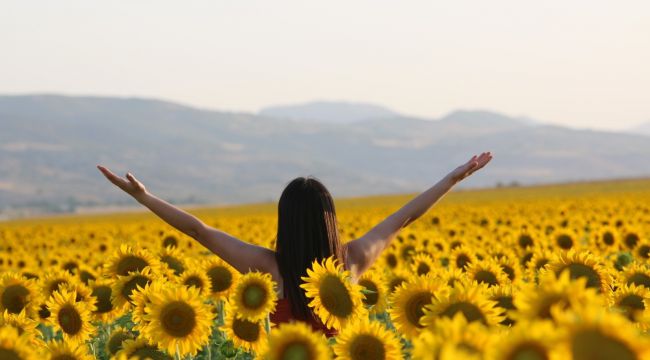 4 bin dönüme ayçiçeği ekti, Tunceli'yi Trakya'ya benzetti
