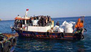 Aç ve susuz göçmenleri polis ve jandarma kurtardı