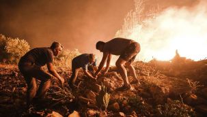 Acı haber! İki orman işçisi hayatını kaybetti