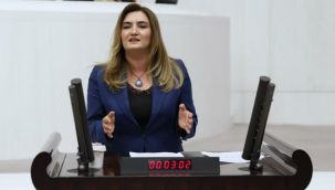 "Ege'nin en gözde arazileri tek tek satılıyor"