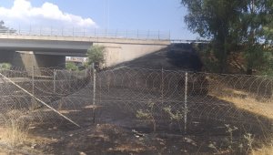 Araç içinden atılan izmarit yangına sebep oldu