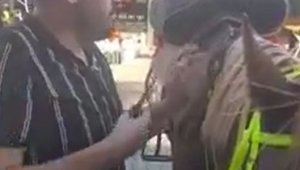 Atını götürüp berberde tıraş ettirdi