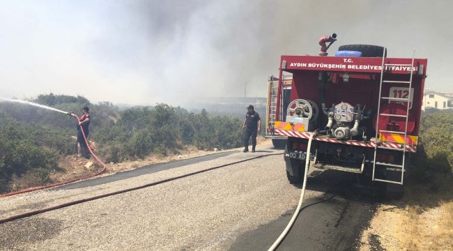Aydın'da itfaiye bir günde 57 yangına müdahale etti