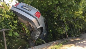 Bahçeye düşen otomobil erik ağacında asılı kaldı