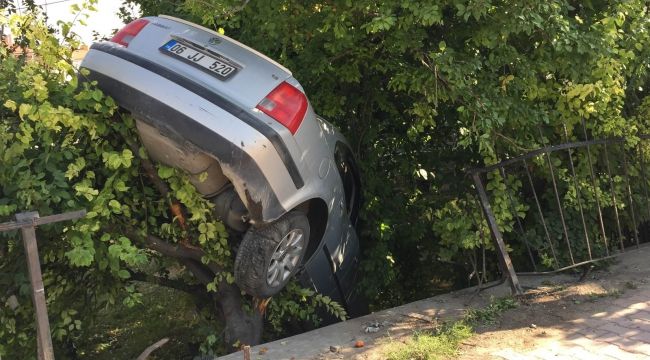 Bahçeye düşen otomobil erik ağacında asılı kaldı