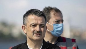 Ormanlara gözünüz gibi bakın çağrısı