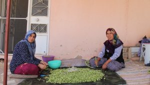 Bamyanın kurusu 150-200 lira aralığında satılıyor