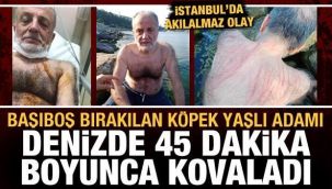 Başıboş köpek, yaşlı adamı denizde 45 dakika kovaladı