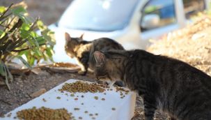 Bayramda can dostlar unutulmadı