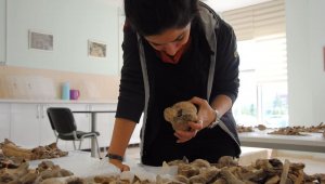 Bir seramik parçasıyla 9 bin yıllık tarih ortaya çıktı