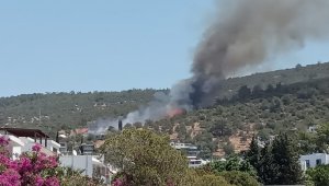 Bodrum'da bir yangın daha başladı