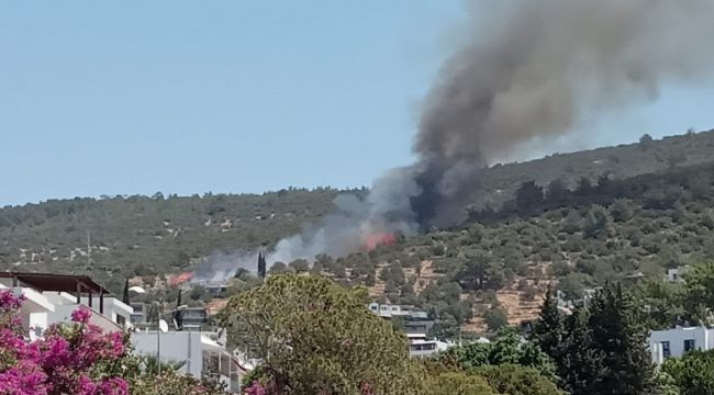 Bodrum'da bir yangın daha başladı