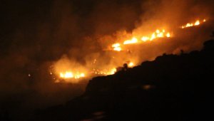 Bodrum'da yangın evlere ulaşmadan söldürüldü