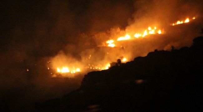 Bodrum'da yangın evlere ulaşmadan söldürüldü