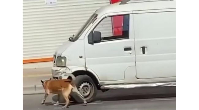 Bombalı araç ihbarı