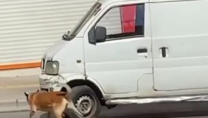 Bombalı araç ihbarı