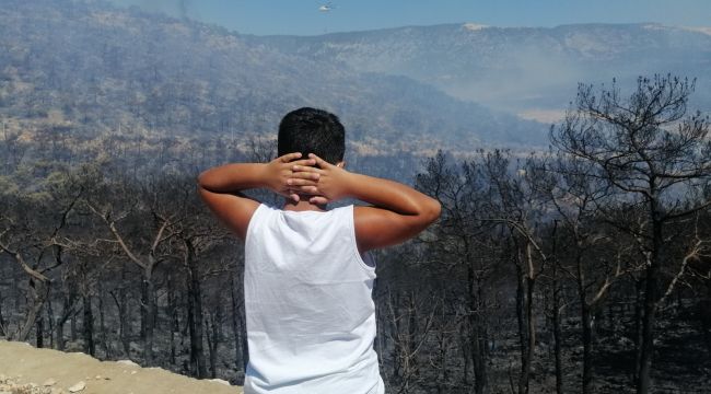 Bu kez Silifke.. Orman yangını büyüyor