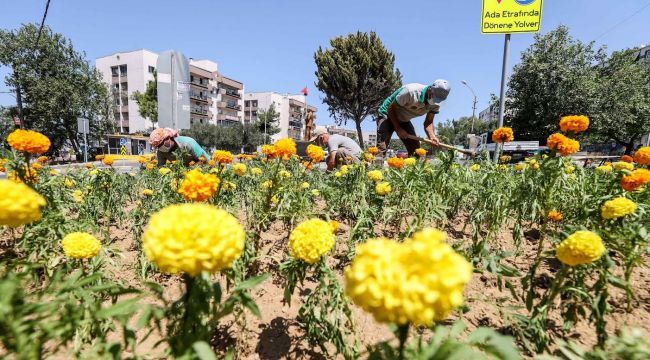 Buca'nın parklarına 3 ayda 60 bin çiçek 600 ağaç