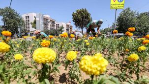 Buca'nın parklarına 3 ayda 60 bin çiçek 600 ağaç